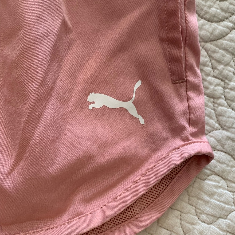 Puma - Picture 3 of 6
